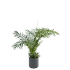Areca artificiel H 180 cm avec pot