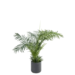 Areca artificiel H 180 cm avec pot