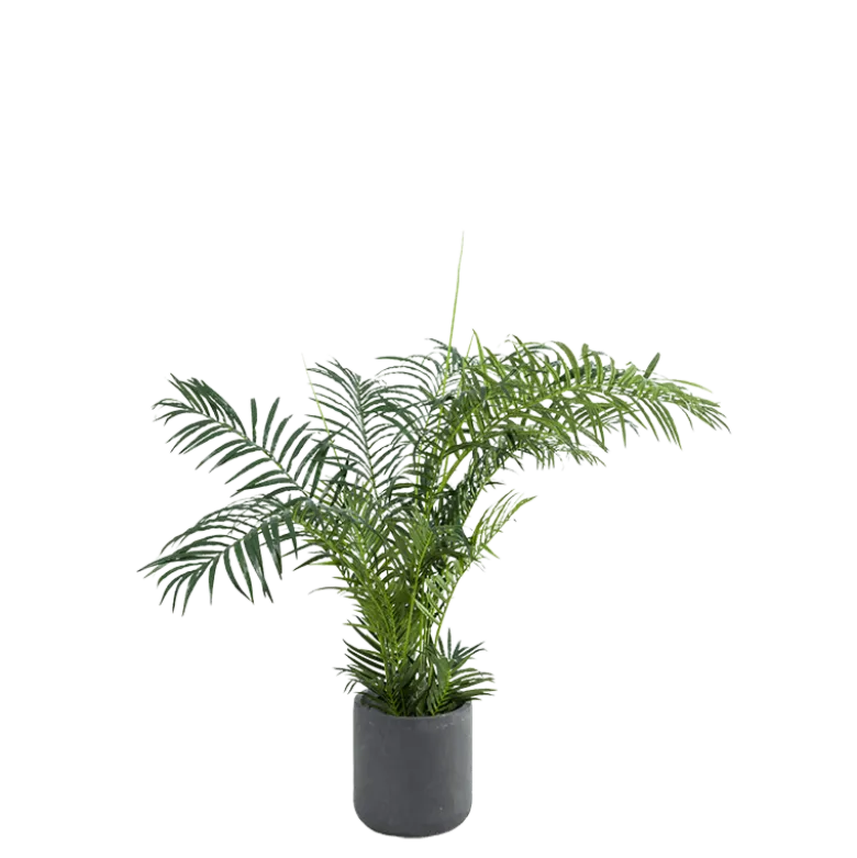 Areca artificiel H 180 cm avec pot