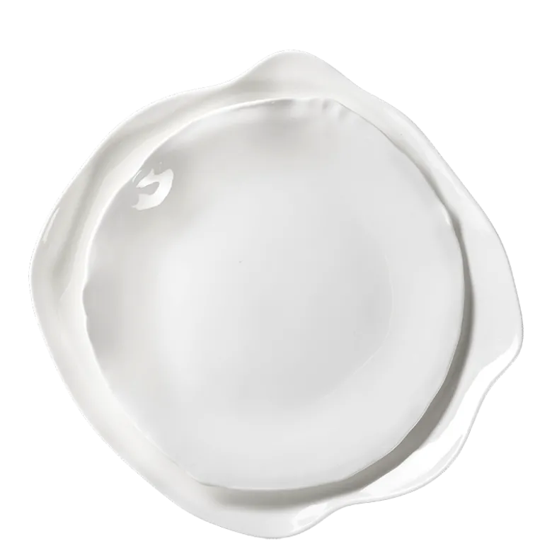 Assiettes Artic