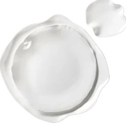 Assiettes Artic