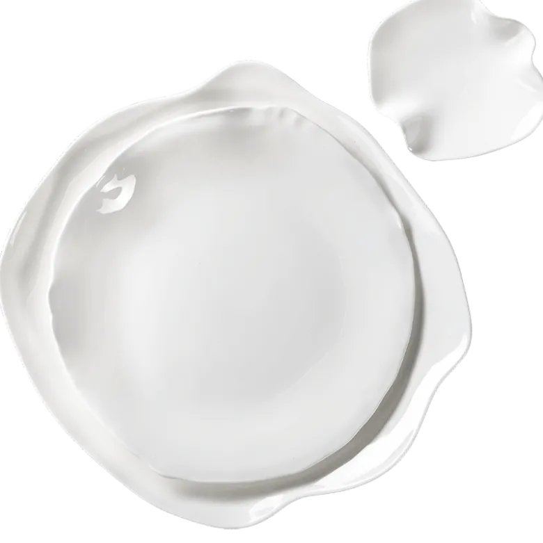 Assiettes Artic