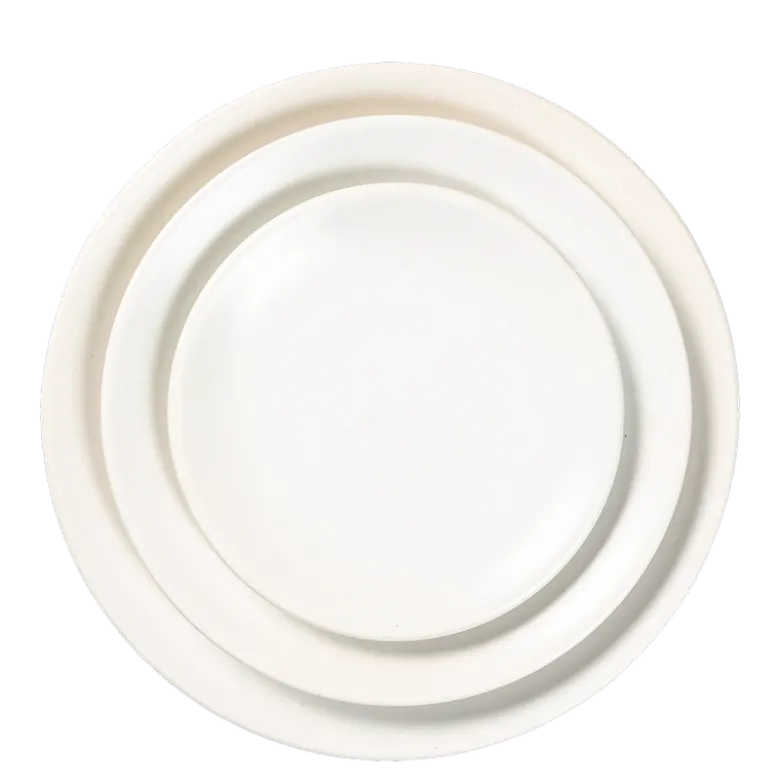 Assiettes Banquise