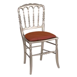 Chaise Napoléon III acier fixe Delhi prune