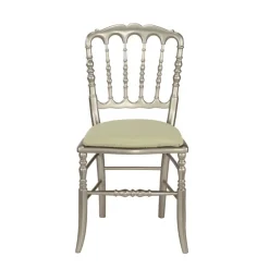 Chaise Napoléon III acier fixe Delhi céladon