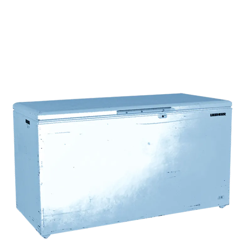 Congélateur 560 litres 220 v