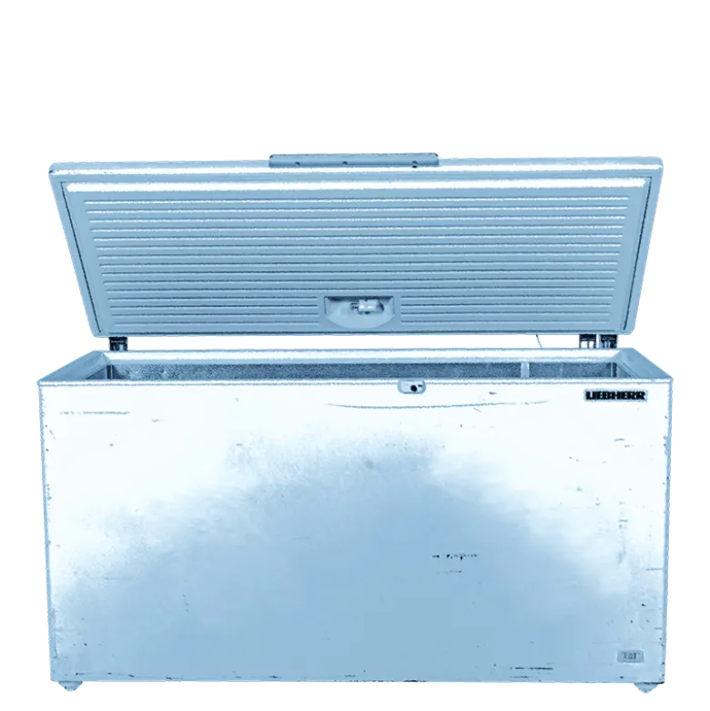 Congélateur 560 litres 220 v