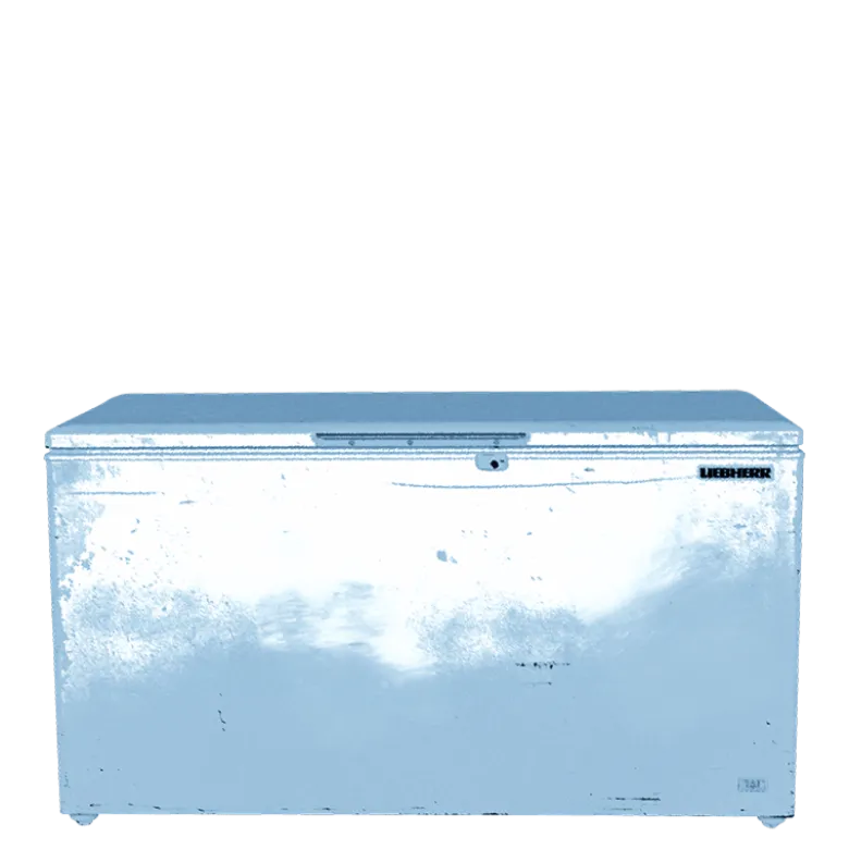 Congélateur 560 litres 220 v
