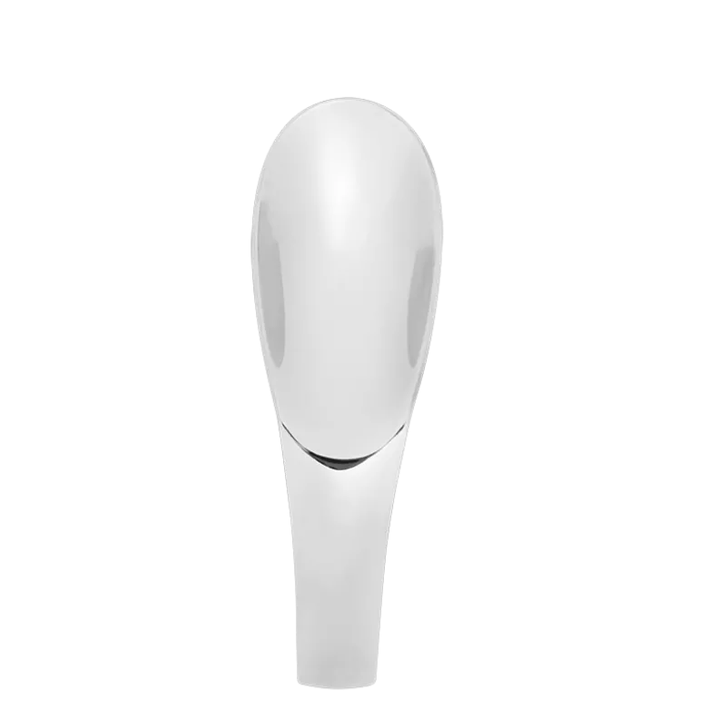Cuillère à dégustation inox 11,5 cm