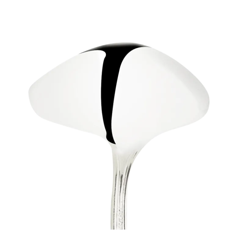 Cuillère à sauce argent