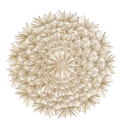 Dessous d'assiette éclat d'or Ø 36.5 cm