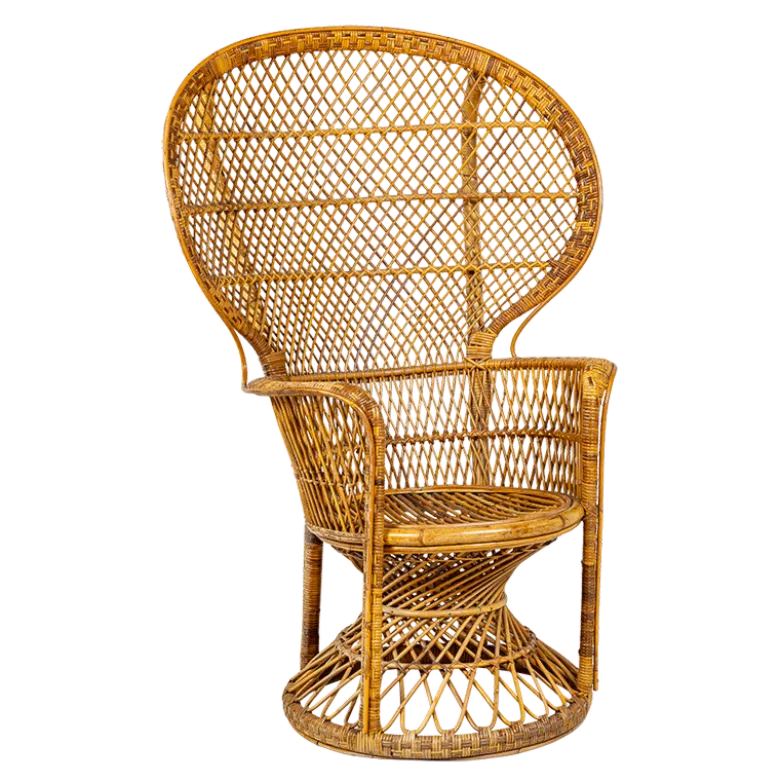 Fauteuil Emmanuelle rotin vintage