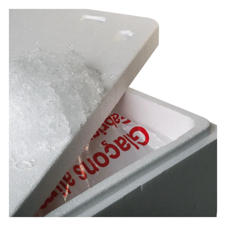Glace paillette de 20 kg + bac isotherme