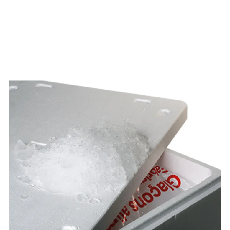 Glace paillette de 20 kg + bac isotherme