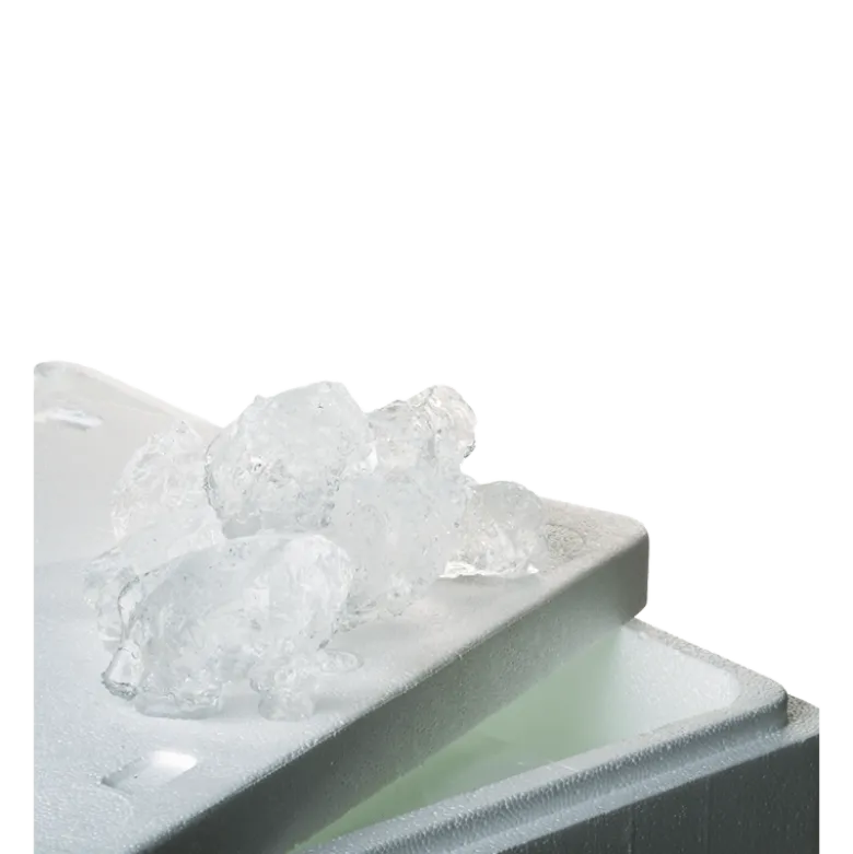 Glace à rafraîchir de 20 kg + bac isotherme