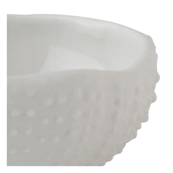 Mini oursin blanc 5 x 5 cm H 2.5 cm 2 cl