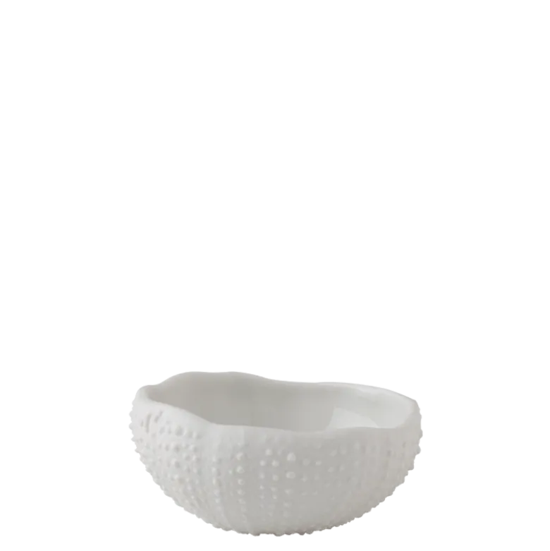 Mini oursin blanc 5 x 5 cm H 2.5 cm 2 cl