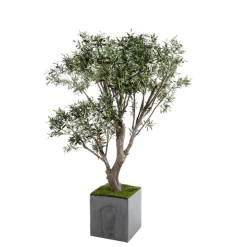 Olivier artificiel H 185 cm avec pot