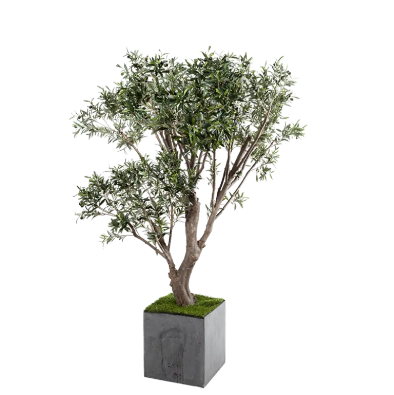Olivier artificiel H 185 cm avec pot
