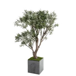 Olivier artificiel H 185 cm avec pot
