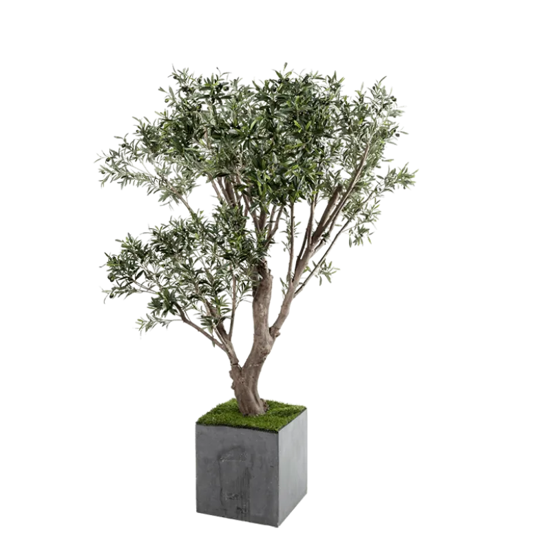 Olivier artificiel H 185 cm avec pot