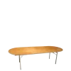 Table ovale 100 x 200 cm